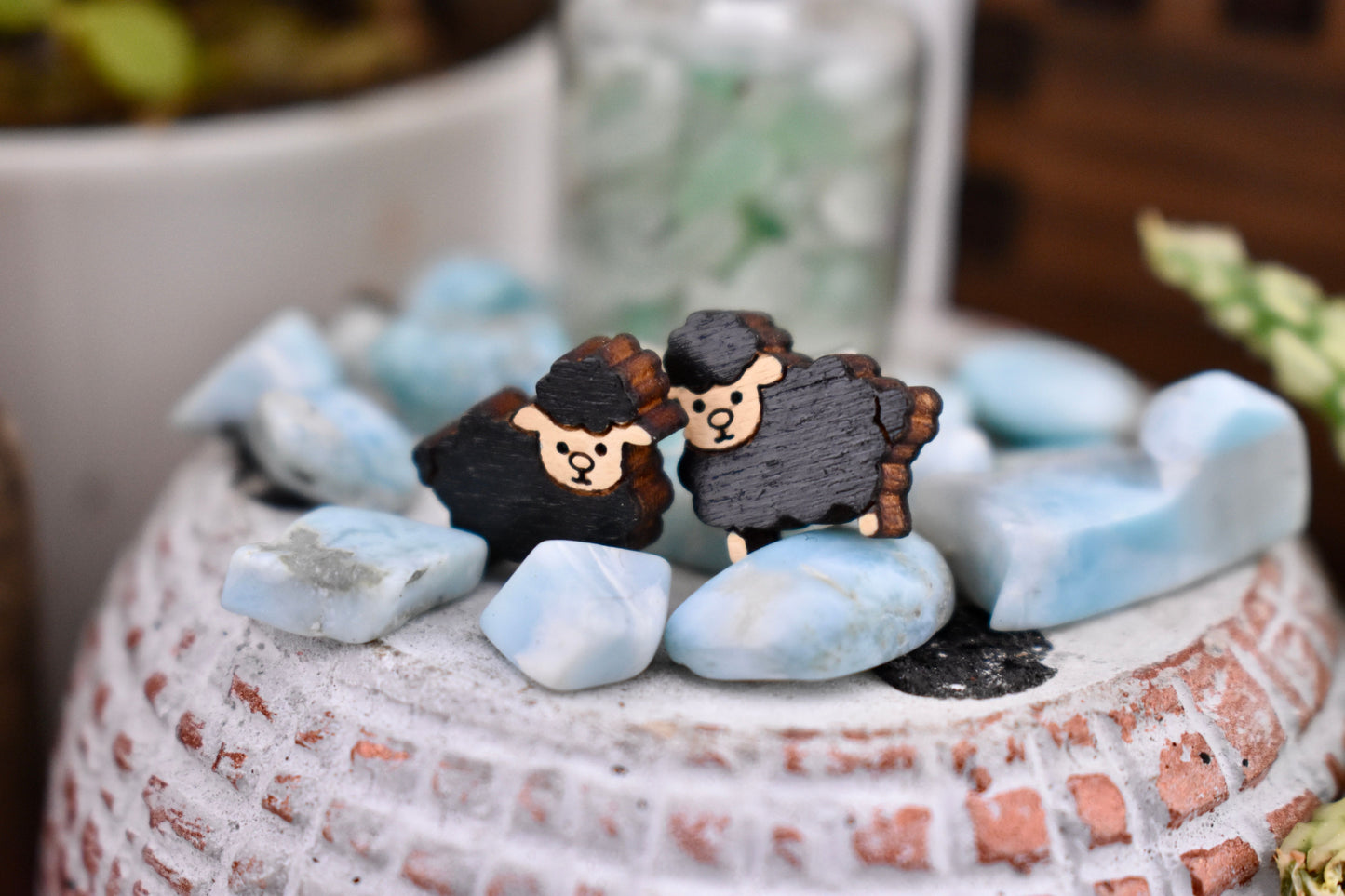 Black Sheep Studs