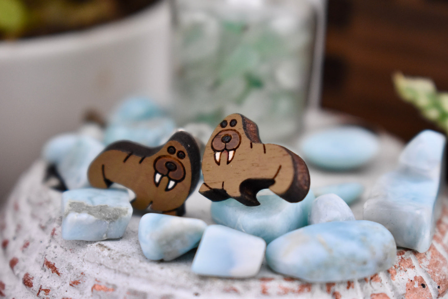 Walrus Studs