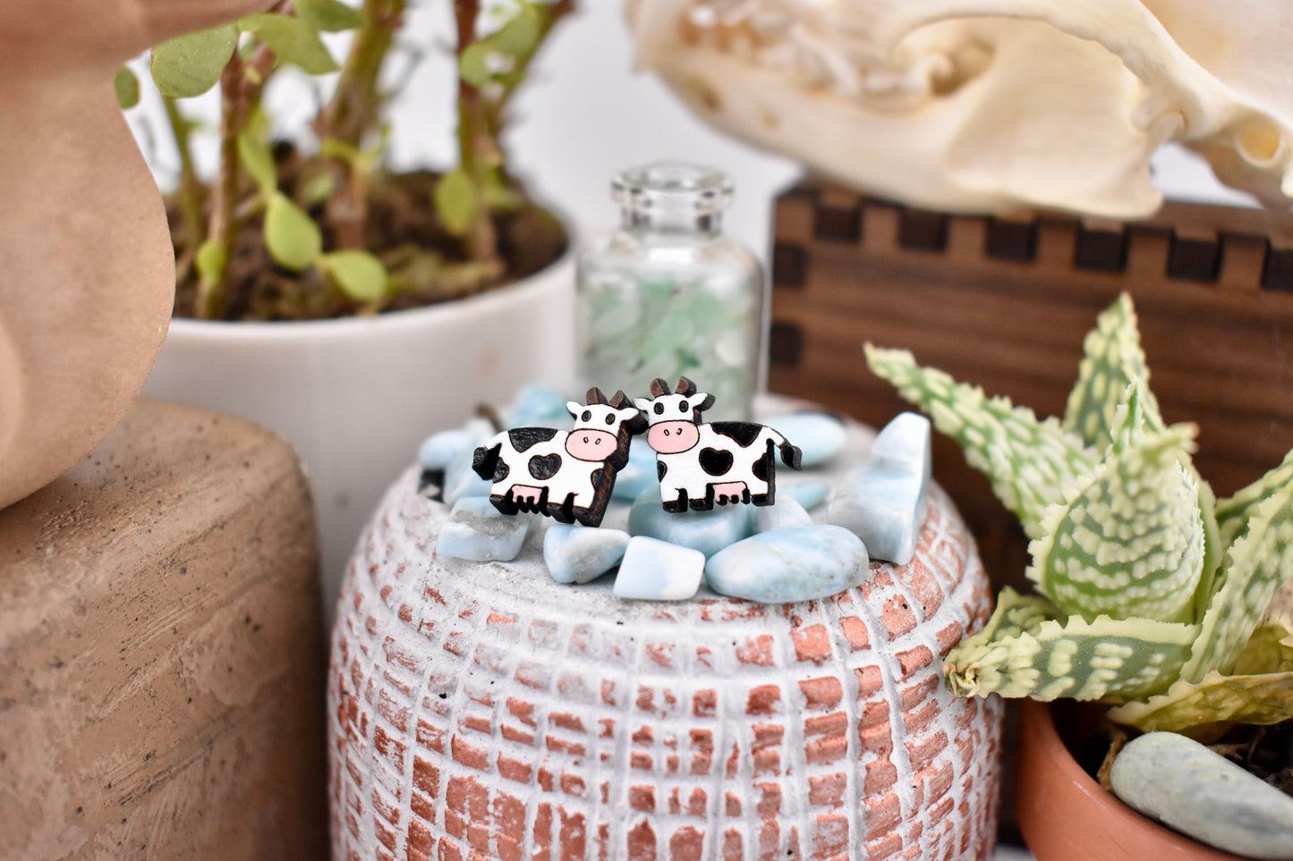 Cow Studs