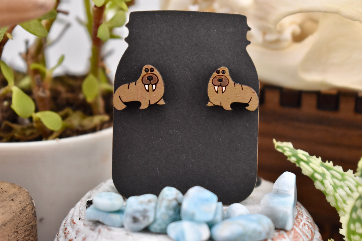 Walrus Studs