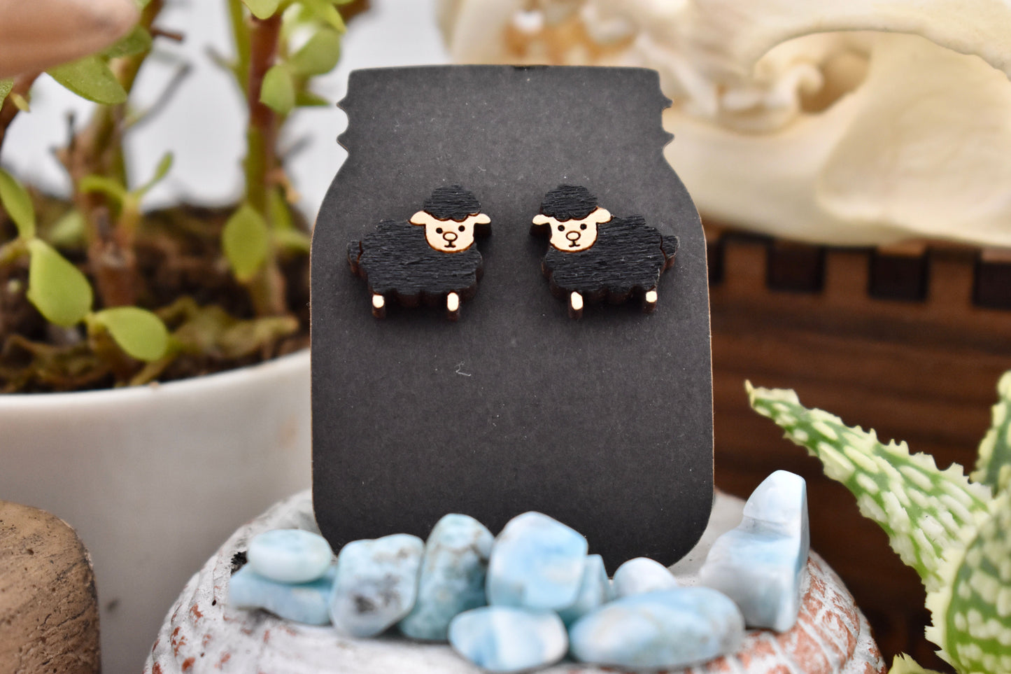 Black Sheep Studs