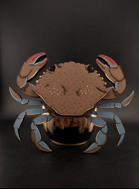 Soft Shell Crab