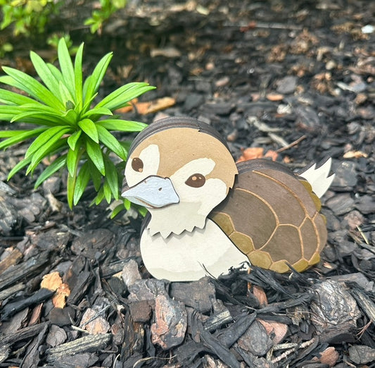 Turtle Duck