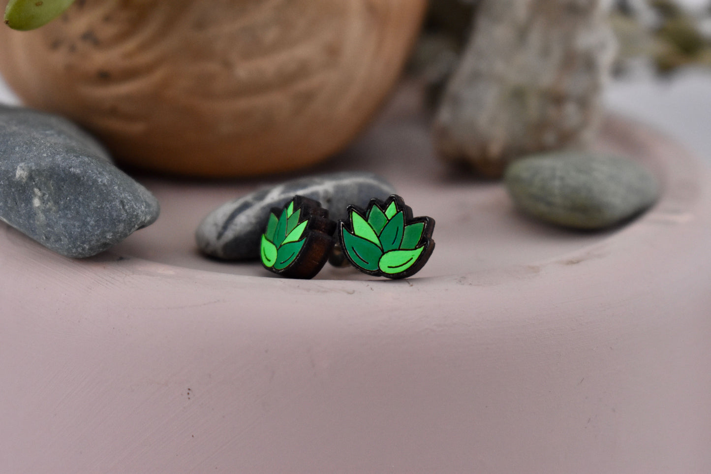 Side Facing Succulent