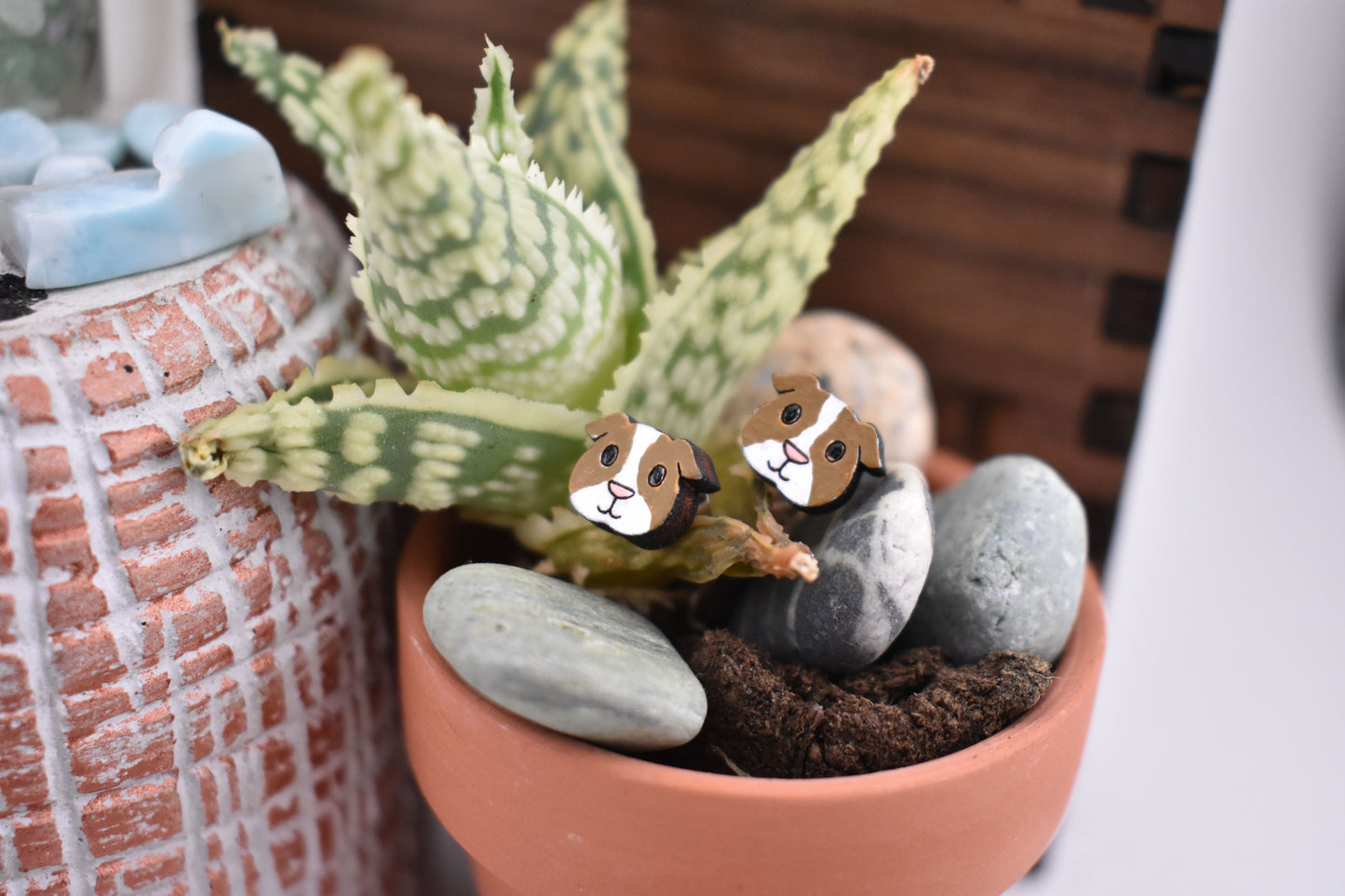 Guinea Pig Studs