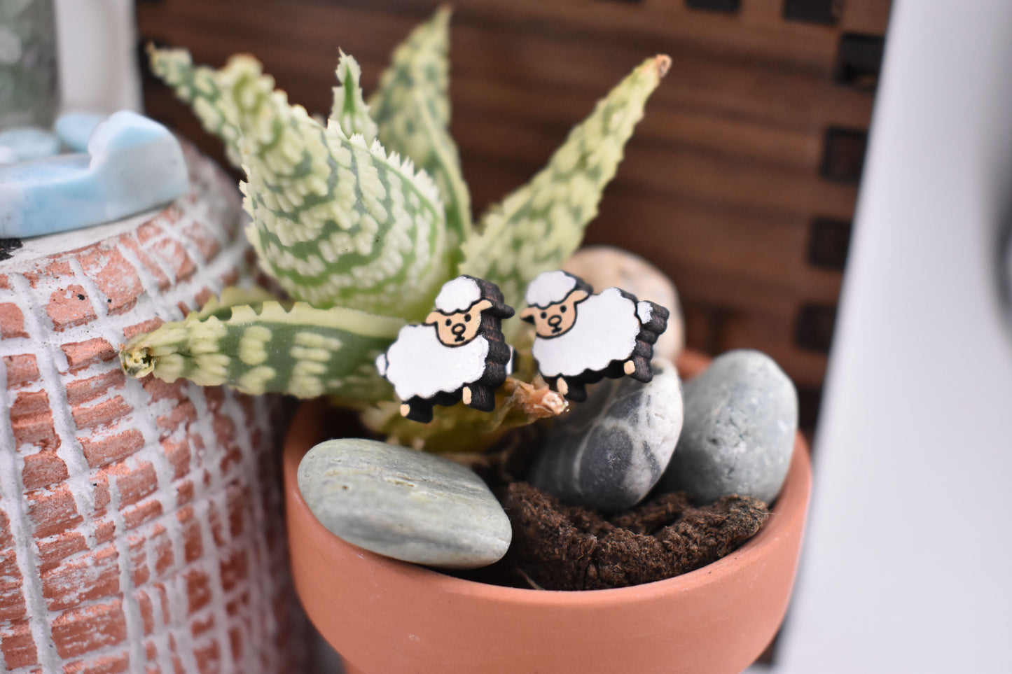 Sheep Studs