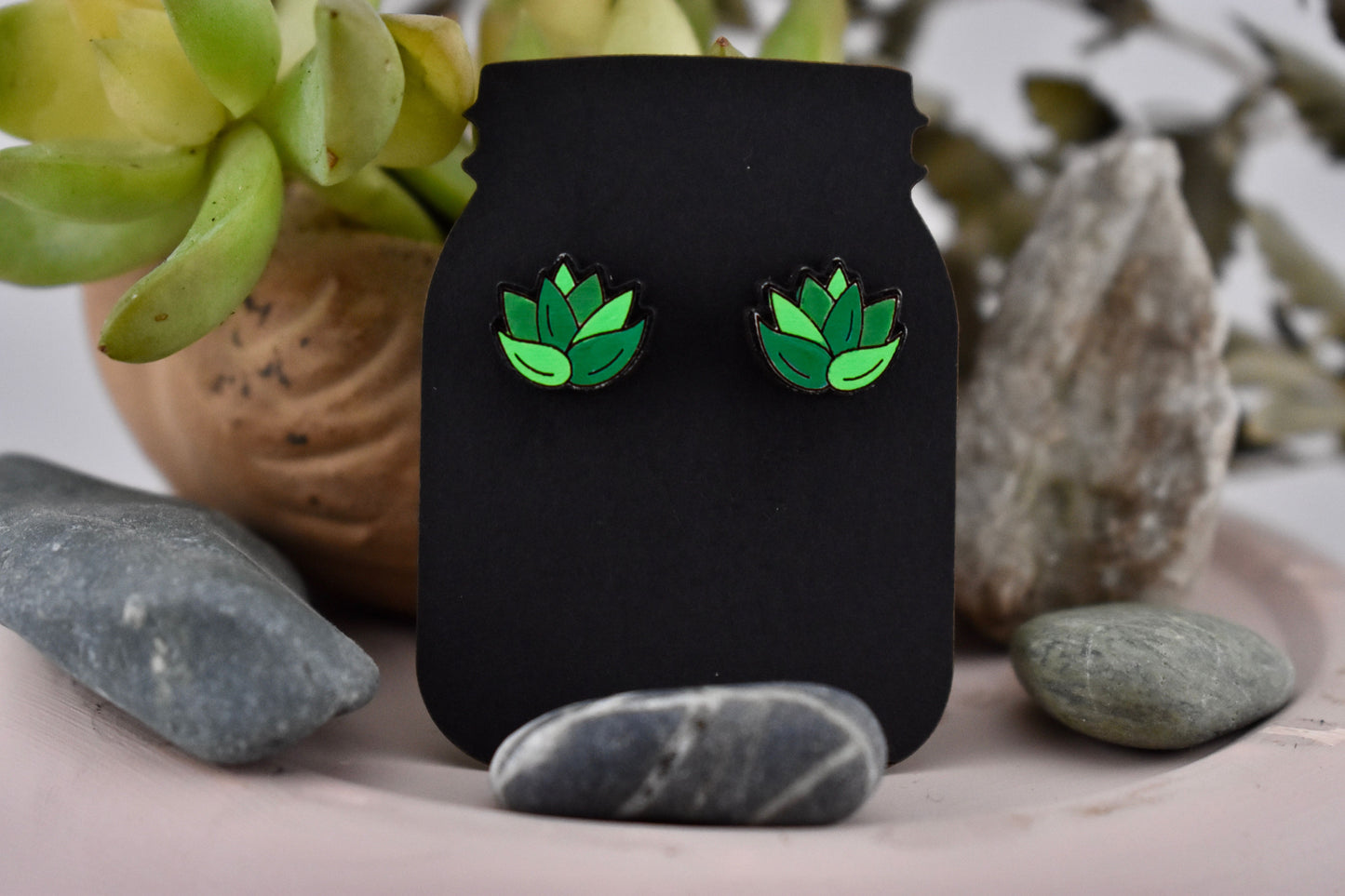 Side Facing Succulent