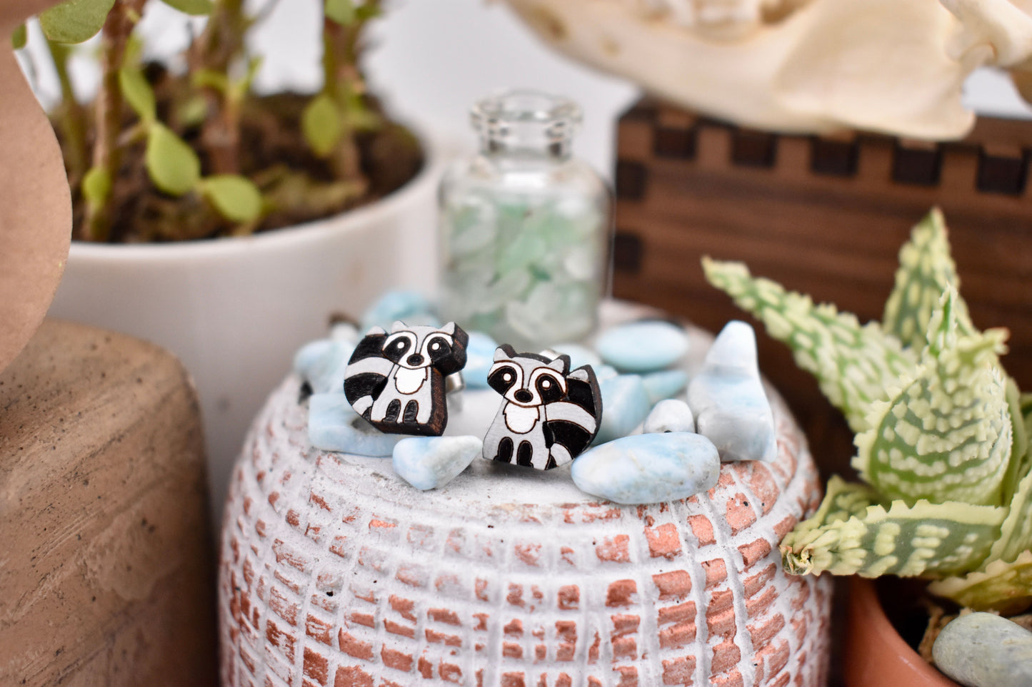 Raccoon Studs