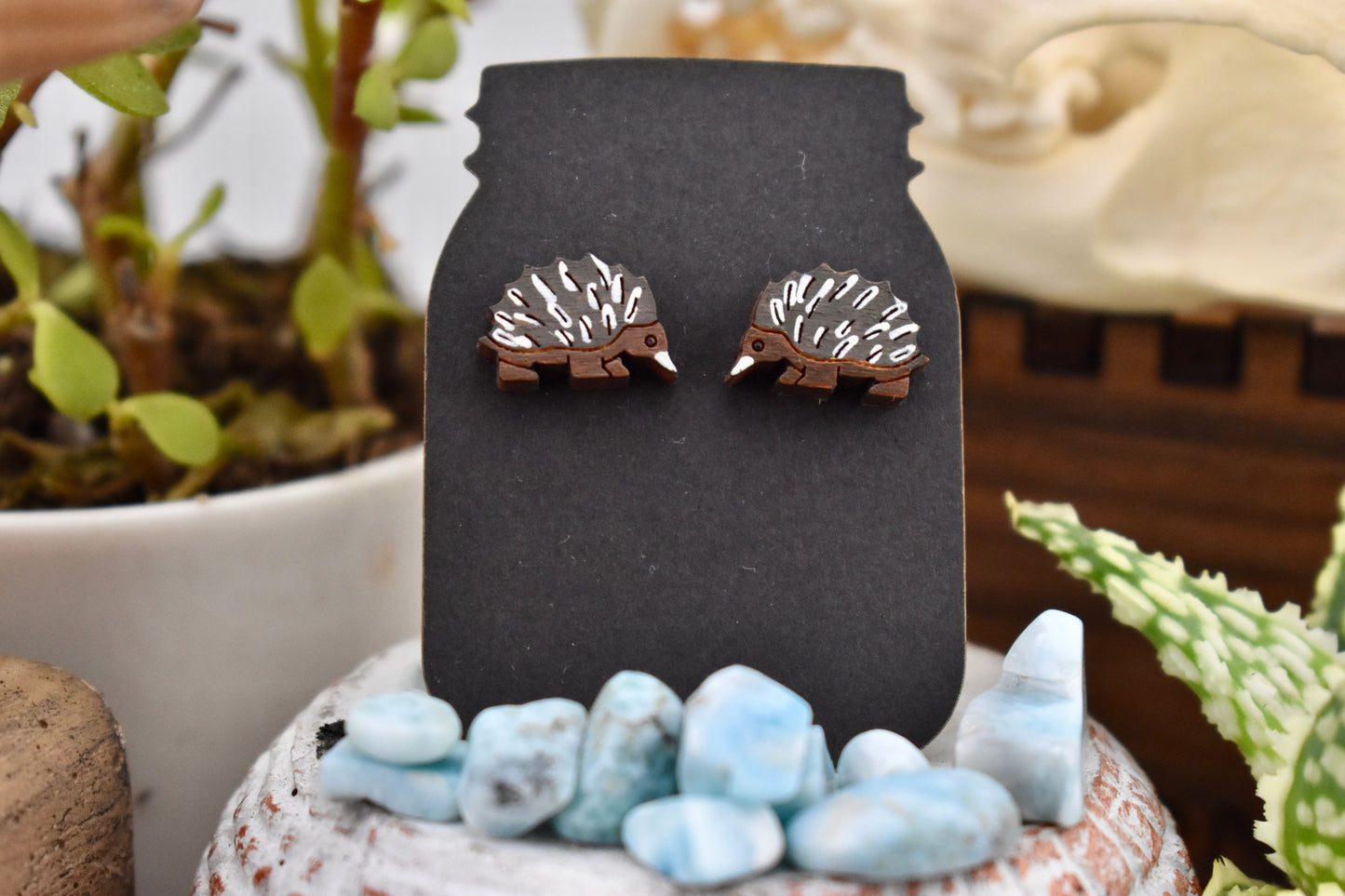 Echidna Studs