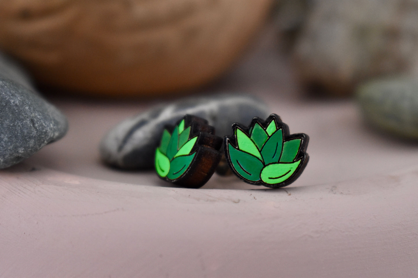 Side Facing Succulent