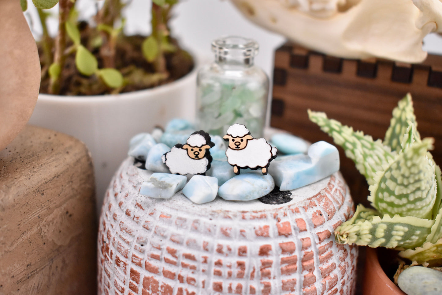 Sheep Studs